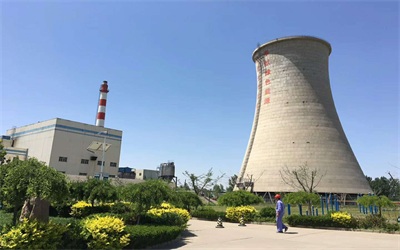 工業(yè)循環(huán)水系統(tǒng)中常見(jiàn)微生物的種類(lèi)及危害 工業(yè)循環(huán)水系統(tǒng)中常見(jiàn)微生物的種類(lèi)及危害